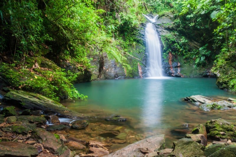 Volunteer in Belize