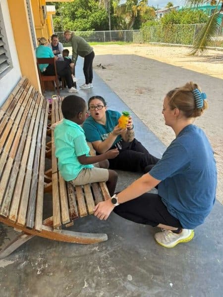 Level II Fieldwork Experience or Clinical Practicum/Externship